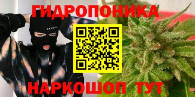 МДПВ Пенза