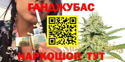 МДПВ Пенза