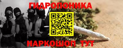 МДПВ Пенза